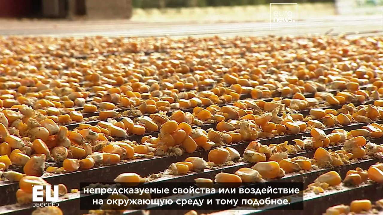 Перейдёт ли европейское сельское хозяйство на новые геномные технологии?