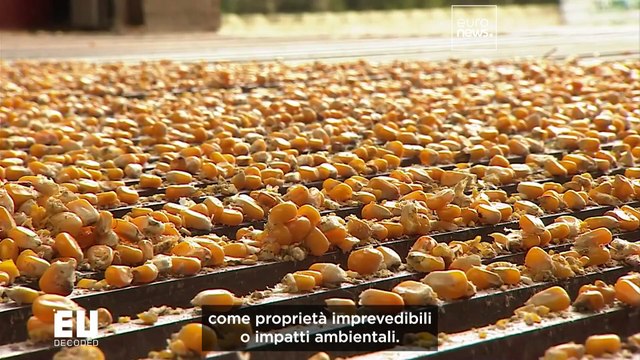 L'agricoltura europea si convertirà alle nuove tecniche genomiche?