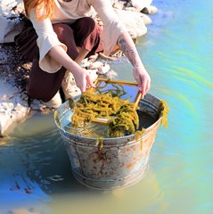 This Lady Harvested Duckweed and Turned It into Unique Shoes! 🏞️👟✨