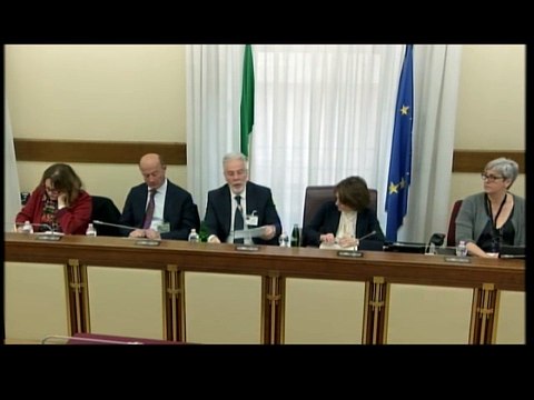 Roma - Transizione demografica, audizione Chelli, presidente Istat (01.04.25)