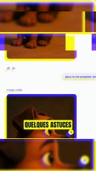 Trend Studio Ghibli GRATUIT sur chatGPT