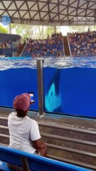 The end 🤣🤣🤣_3