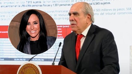 Caso Inés Gómez Mont: Jueza libera sus cuentas pese a orden de aprehensión