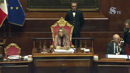 Daisy Pirovano - Intervento in Senato (01.04.25)
