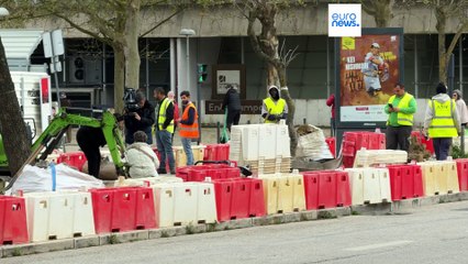 Abate e transplantação de árvores para criar mais estacionamento em Lisboa gera polémica
