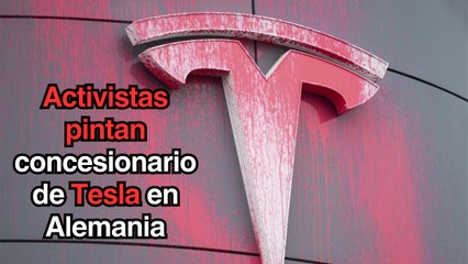 Activistas pintan un concesionario de Tesla en Alemania