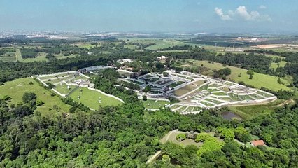 آخر شمبانزي في الأسر بكولومبيا يُنقل إلى البرازيل للانضمام لقردة من نوعه