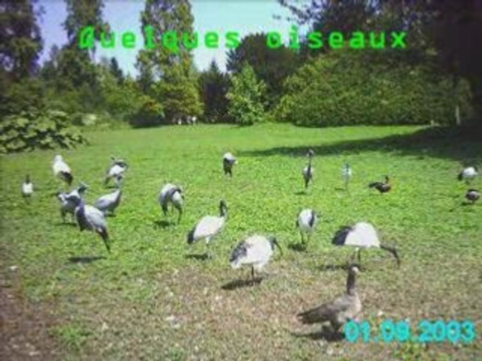 Une journée a Cleres