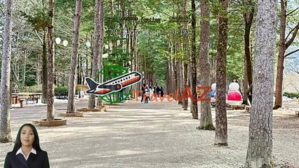 Review Alpaca & Nami Island & Rail Bike & Petite French Village & Legoland