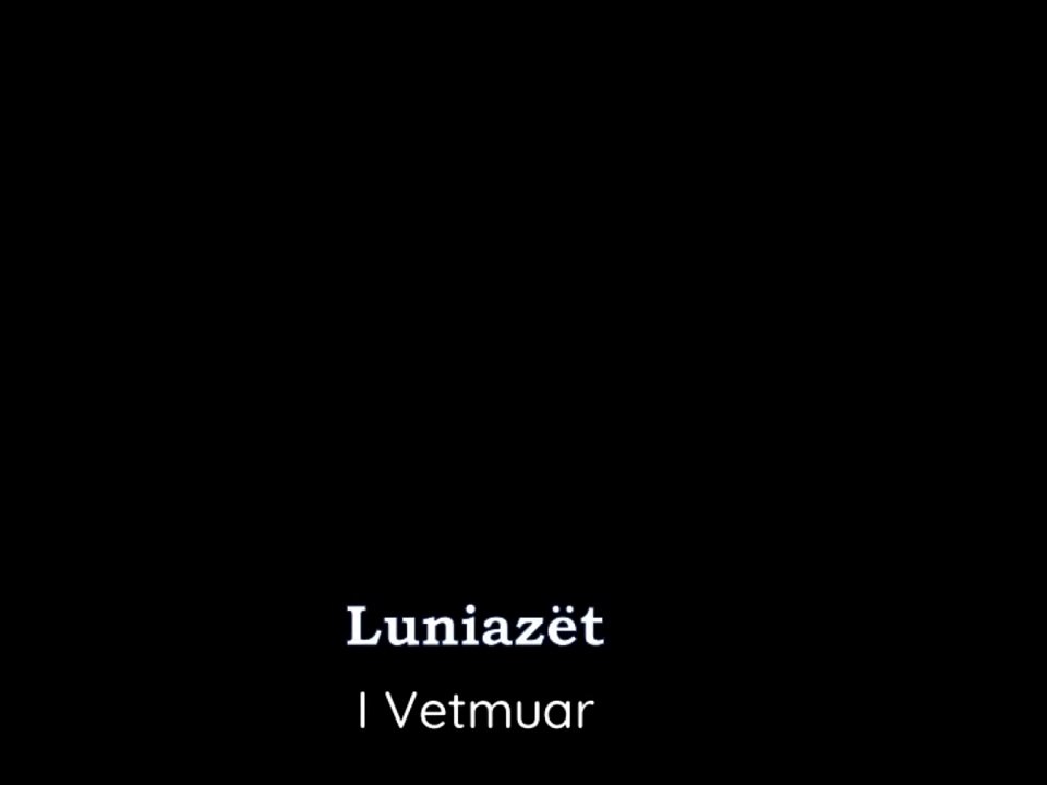 Nijazi Bytyqi & Luniazët - I VETMUAR