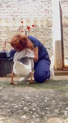 Duck and Woman Share Heartwarming Hug