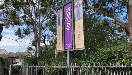 Overgrown Median Strip on Kingsway, Gymea
