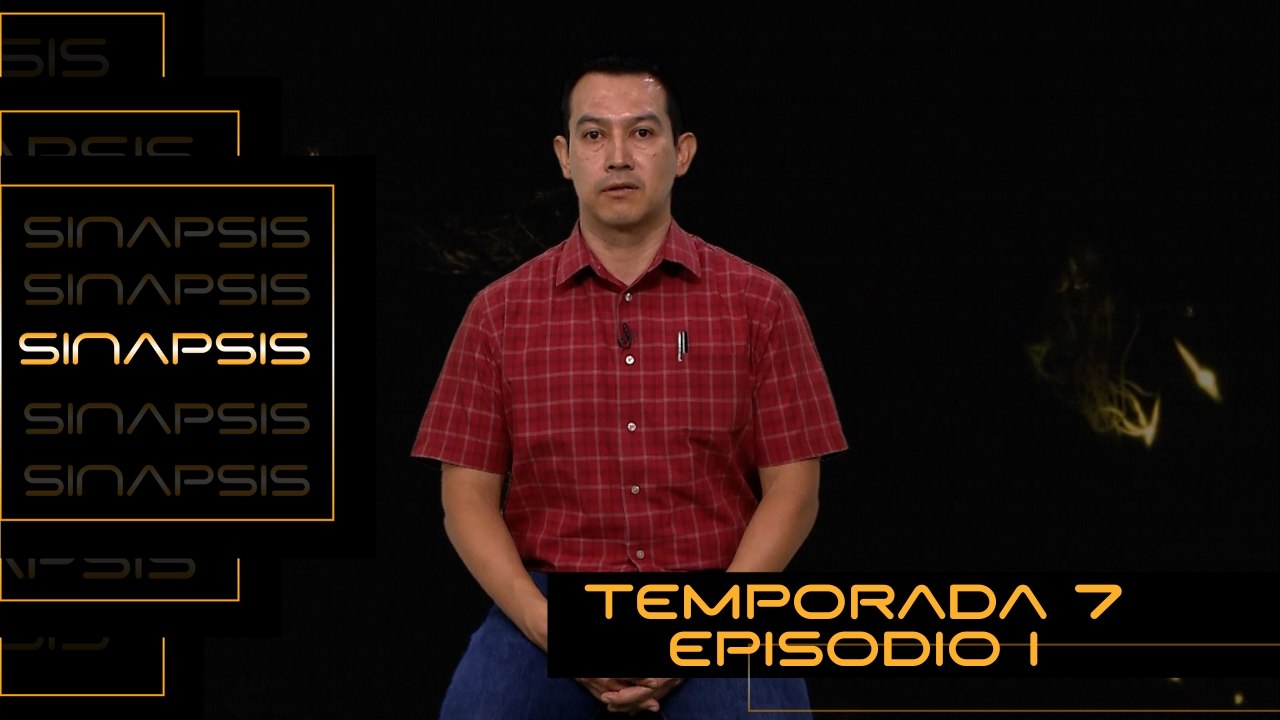 T7 Ep.1- Sinapsis | Problema de corte de patrones