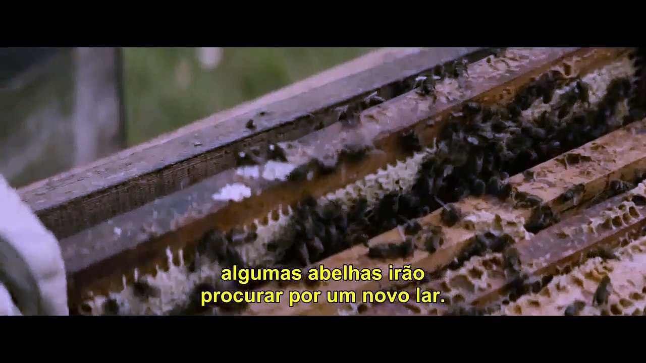 Tell It To The Bees - Fale com as abelhas/lesbian movies
