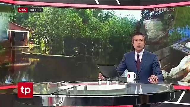 Inundaciones en Beni: 350 cabezas de ganado lechero de San Ignacio de Moxos están en riego, dicen productores 