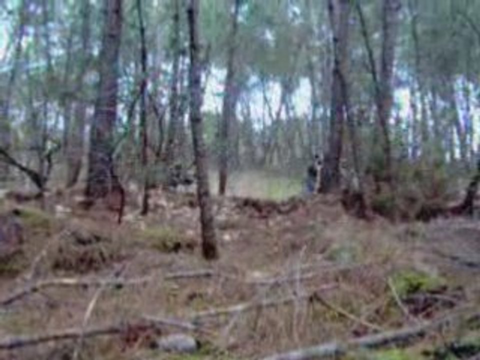 Montage paintball_0001