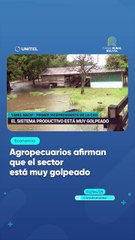 Agropecuarios afirman que el sector está muy golpeado