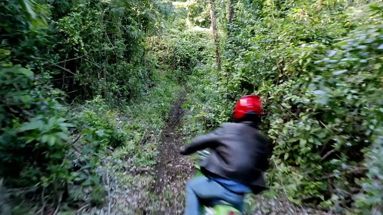 The Revolution is heating up | movie | 2022 | Official Trailer