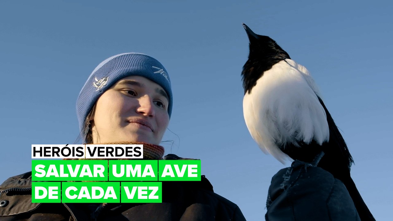 Heróis Verdes: Salvar uma ave de cada vez