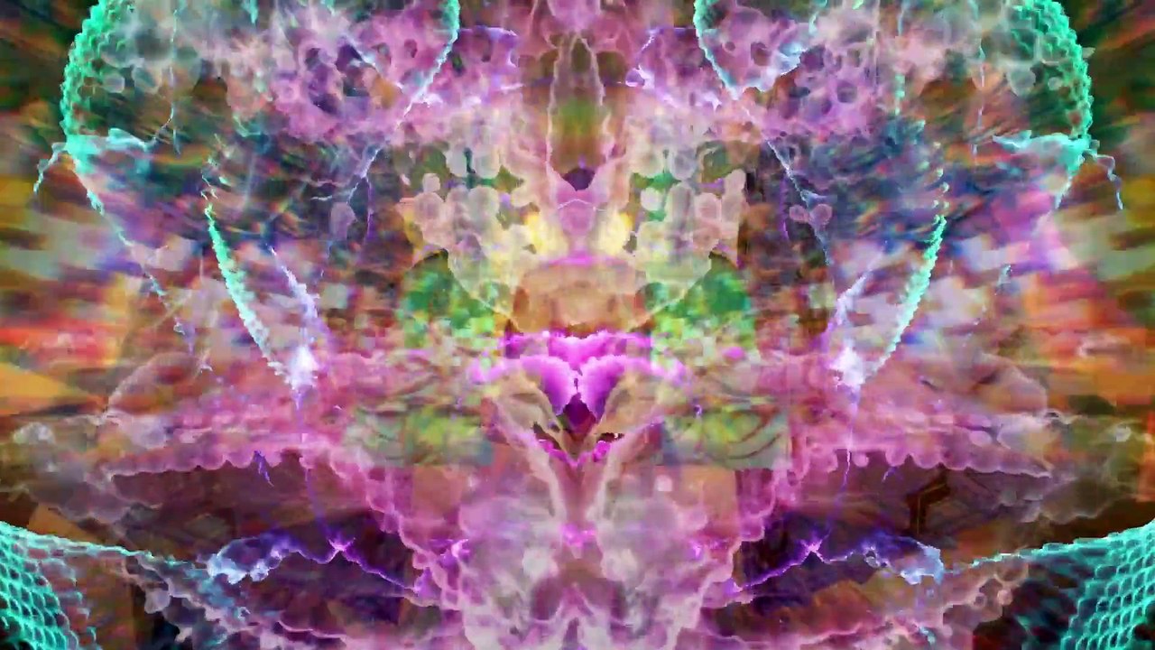 Contemplations.On.The.Psychedelic.Experience