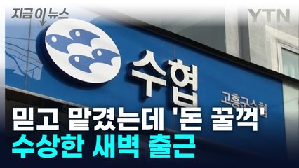 금고지기 시켰더니 금고 털어... 수협 직원 '10억 꿀꺽' [지금이뉴스] / YTN