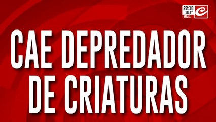 Cae depredador de menores: abusaba nenas en todo el país