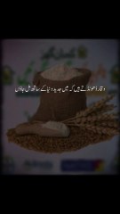Rizq ki Kadar Kiya karo   !!! 1 million followers gain