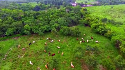 FIRA impulsa la inclusión financiera para emprendedores y pequeños negocios