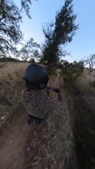 I fell into the ditch! ☠️