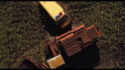 Texas Chainsaw Massacre (2022) | Film Explained in Hindi