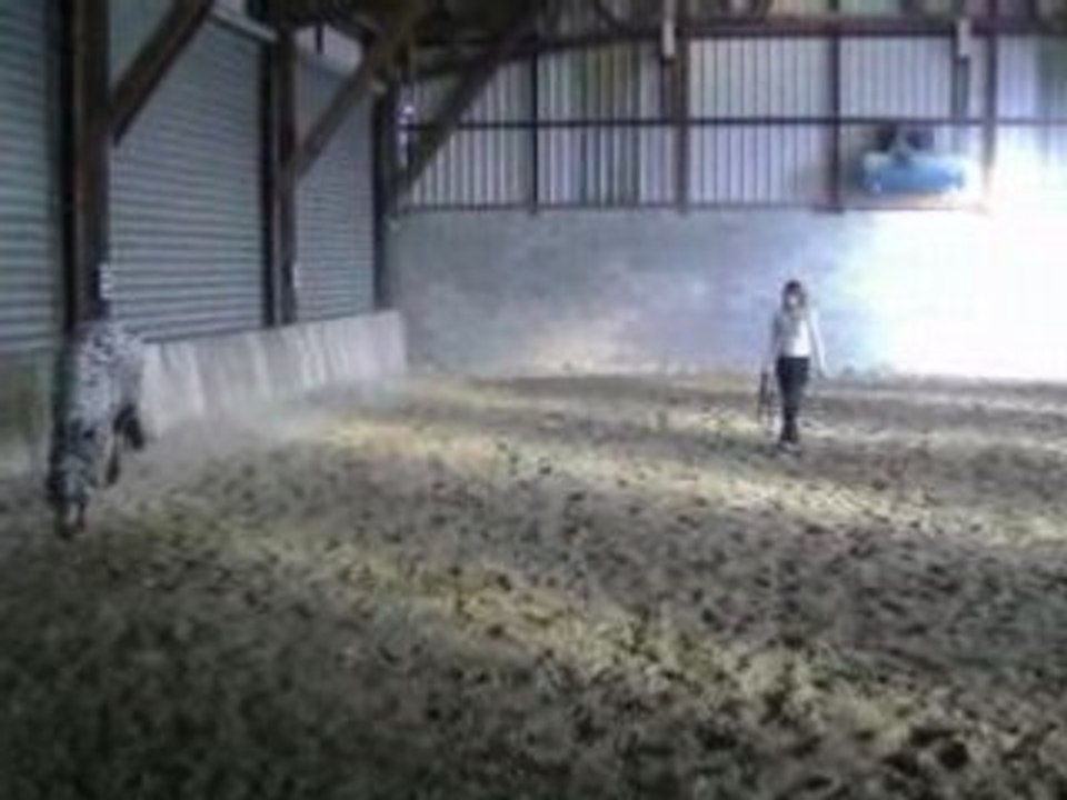 Ce soir cheval