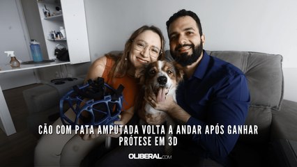 Cão com pata amputada volta a andar após ganhar prótese em 3D