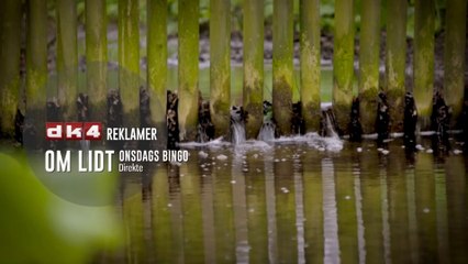 Randers Regnskov | Rundvisning af Dyrepasser - Kristian Sørensen & TV sendt den 2 April 2025 på DK4