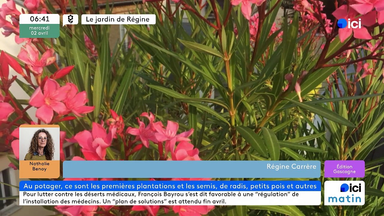 02/04/2025 - ici matin par ici Gascogne en vidéo