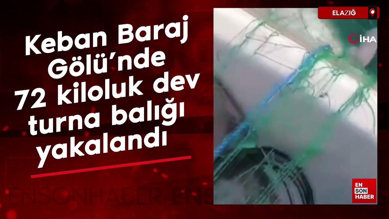 Elazığ'ın Keban Baraj Gölü'nde 72 kiloluk dev turna balığı yakalandı