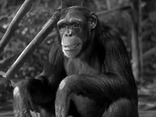 Tarzan Finds A Son! (1939) - Classic Adventure Film