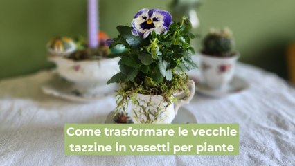 Come trasformare le vecchie tazzine in vasetti per piante