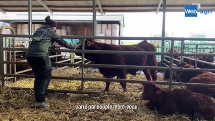 « Grâce à la Salers, j'ai maintenu l'élevage sur la ferme »