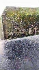 Granizo nos Açores