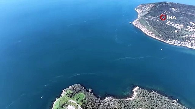 İstanbul'da korkutan görüntü: Yeniden ortaya çıktı!