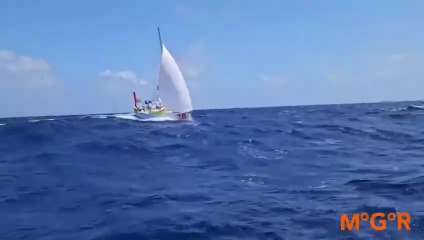 ALMA Class Globe 580 / 2025 - #MGR2025 Small Boat Around The World Leg2 #panama to #fiji RENAUD FIRST crossed the Equator