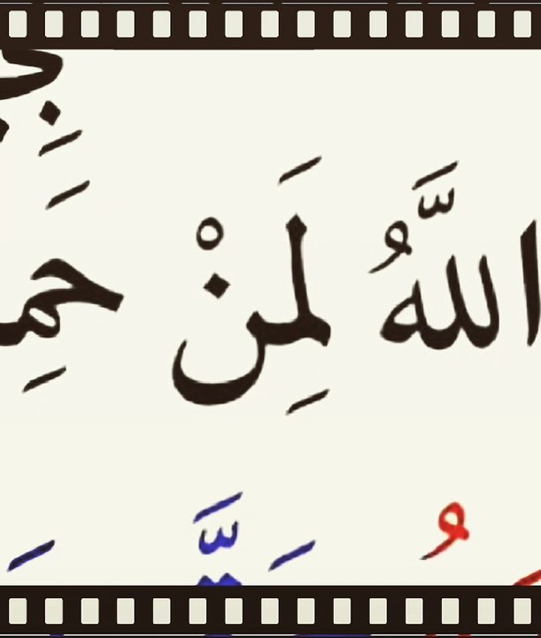 كيف كان يركع الصحابه خلف رسول الله صلى الله عليه وسلم ؟