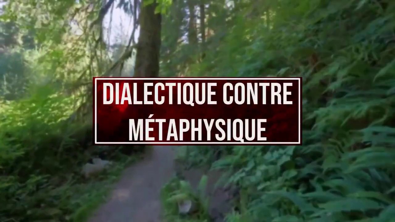 DIALECTIQUE contre MÉTAPHYSIQUE ? - Philosophie Marxiste