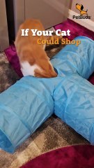 POV: Your cat just found the ultimate hide-and-seek spot 🏠🐱