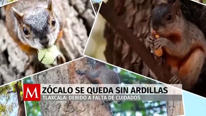 La Fiscalía de EU busca un acuerdo de culpabilidad con ‘El Mayo’ Zambada. Magda González, 01 de abril 2025