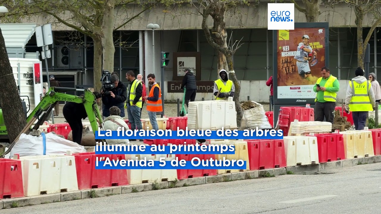 Polémique à Lisbonne pour sauver 47 jacarandas : les arbres sont menacés par la construction d'un parking
