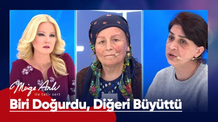 Zeynep Hanım'ın oğlunu yetiştiren anne stüdyomuzda! - Müge Anlı ile Tatlı Sert 2 Nisan 2025