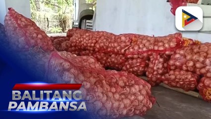Mga magsasaka ng sibuyas sa Ilocos Norte, tinulungan ng provincial government at isang unibersidad