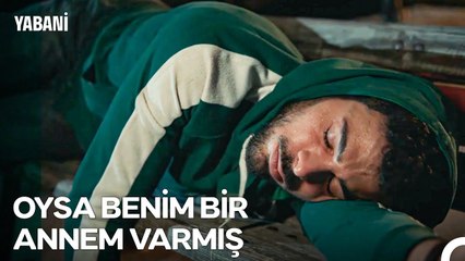 Yalnız Geçen Onca Yılın Bedelini Kim Ödeyecek? - Yabani