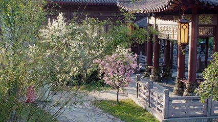 TRƯỜNG AN NẶC - TẬP 52 - (Thuyết minh)